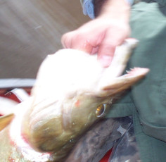 B506D187-0E03-4158-9307-1ECEE1234FB1