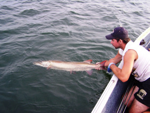 B549C259-1E4D-419D-8AC9-0E882155536A