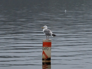 B5799833-7407-470A-9284-80844348612C