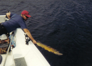 B57A4B06-883B-4BF1-801E-430EDFC49AC0