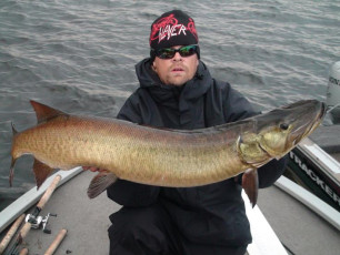 B61478F7-1EC8-4FB9-9B79-BADEF0A470C8