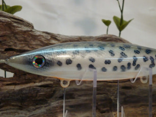 B61DEE45-4C17-48EA-A6A3-F1026D310200