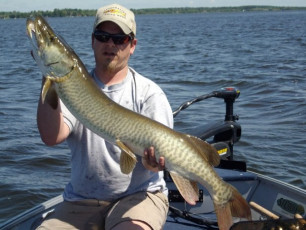 B623F454-0E11-4377-A3C3-B705F77E009B