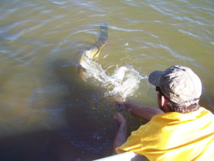 B7DDE2BD-C3A0-41DC-8DB9-A2D378F5763B