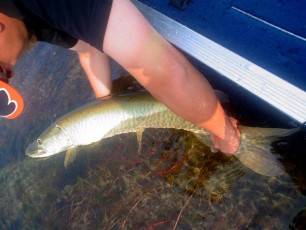 B7E841B7-F94F-45EA-873D-295540BC76E1