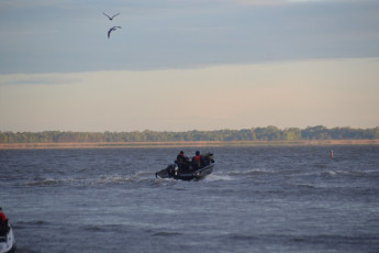 B8B1A2A1-C247-4803-98D4-024BBCE8734C