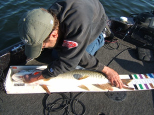 B90862F3-117F-4B0A-AA3B-0C2442D6B23E