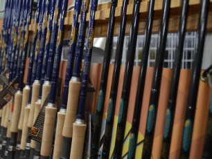 B9159128-535B-49FE-8D26-C98A51D6946C