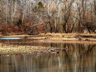 B93CF1D5-65A0-4165-A785-D31330E0EC2E