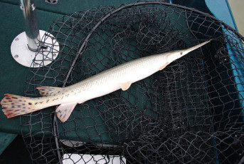 B95DC742-BEC2-4A9D-BBCD-BE48A39D80A3