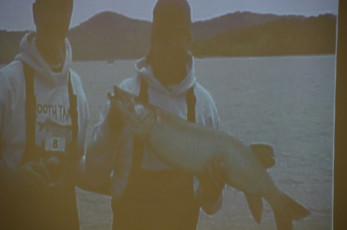 B9B1833E-8B1E-4D7D-9ECF-B50BC23D5348