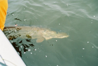 B9E24D70-BAAE-4CCC-B438-1E125B68688C