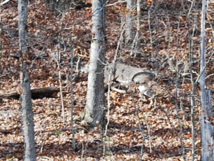 BA60D9C3-D43B-4D22-931D-8430CD825BD2