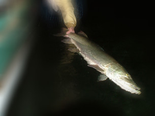 BB557F6C-F321-4006-A63F-C4E17423C165