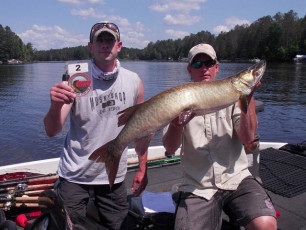 BC9945D2-E881-469E-9DC5-678A9AF38A6C