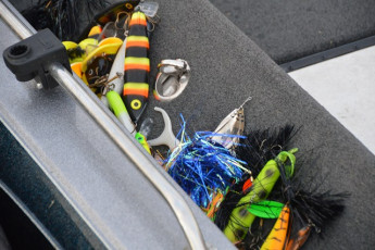 BCAC8171-BCC6-4CAA-B938-761D776E64E9