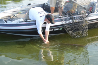 BDA37A3B-C56A-430E-A350-D9C3E41BA116