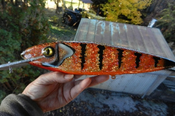 BDB52FF2-588E-4B83-A132-FF5B68B427A0