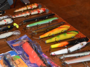 BDBF6546-DA4A-419A-AA21-5D6AFC03C317