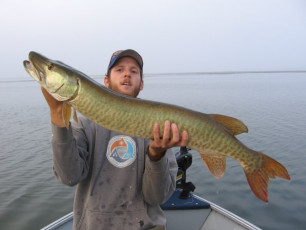 BE327441-1B60-4496-A3A1-368F83848865