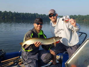 BE8DBF28-612F-434C-AFDF-B4D889E85190