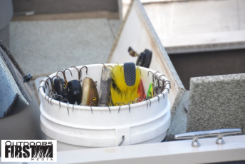 BF77C072-8F26-4F0A-9507-69EFA819D8EF