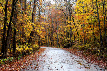 BFA23C83-DFC3-41DC-AFA3-DB7B02A9BC1C