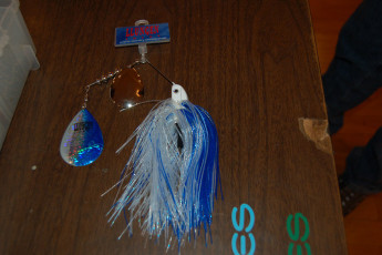 C012EC9C-4910-488E-AA46-42C4C4958AFC