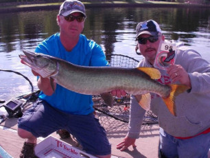 C013574C-088A-466E-973D-4B1B265B17A1