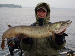 C02A2501-7C94-4BB7-AB26-C527761452C8