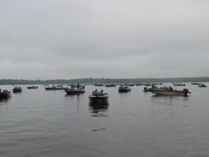 C0833CE2-E20D-41DD-9E3C-66EDD1257BB7