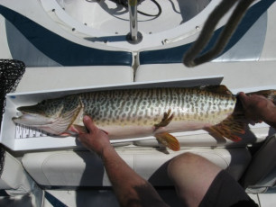 C0B8D798-8855-4A62-BC6A-64EDDAACD542