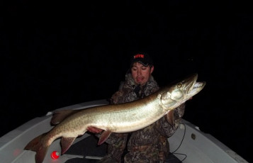 C128B7D6-6D1D-44DB-9945-D8DEBA677ED0