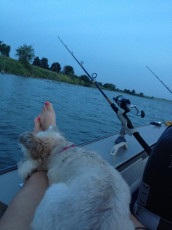 C1AA48A1-E69B-4ABB-B166-055F61312898