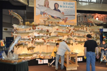 C2695CBC-4BF2-4225-AC74-A40AD7659ADA