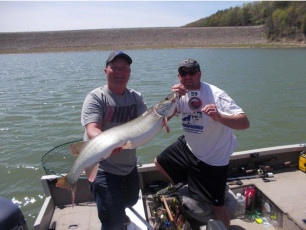 C300263D-3670-438F-8ED2-B31E4A6F1CFA