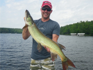 C3935DE1-EF84-49CE-9A61-085490AAD2DA