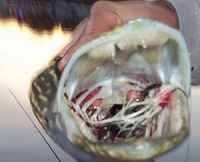 C489848F-9D47-49A0-BB7D-75E77744ED74