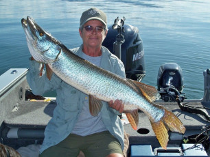 C544465B-D3D8-41DB-A4BE-6A49141D6B8B