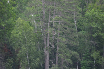 C5D509C0-416E-4442-A9F1-4BA4D6142884