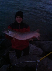 C61C44C2-A431-49E3-9D3D-E29BF34A885C