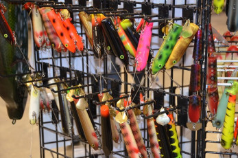 C63078F2-BC96-406A-8E2E-3C80429D8FCF