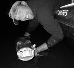 C69BB148-1432-4E6E-A130-64C6AF56BBA2