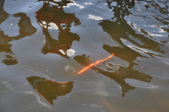 C74E14BE-6C2E-41ED-8996-200131E86A74