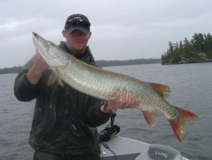 C77DBC4A-DD66-4D03-AA8E-272C713584E2