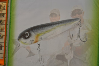 C7DE7A6E-4366-4023-B763-9DC747214C16