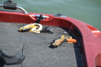 C7E50F93-71F0-4279-8D02-739F3043AC49