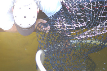 C8856363-22C1-4D19-804B-01B173E8C553