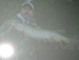 C8D46ABB-856F-4318-8C45-C2AF4C03FCAE