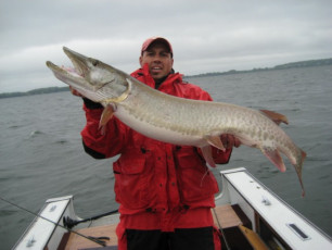 C90A4270-3D0F-454B-BED2-65C2D6904335